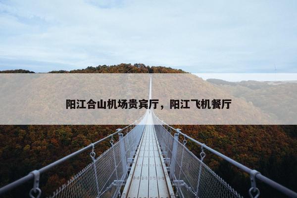 阳江合山机场贵宾厅，阳江飞机餐厅
