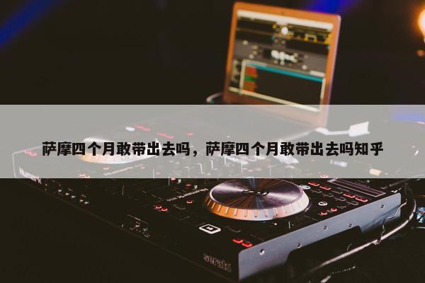 萨摩四个月敢带出去吗，萨摩四个月敢带出去吗知乎