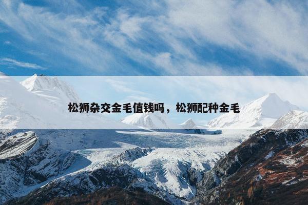 松狮杂交金毛值钱吗，松狮配种金毛