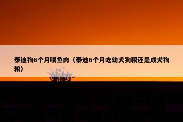 泰迪狗6个月喂鱼肉（泰迪6个月吃幼犬狗粮还是成犬狗粮）