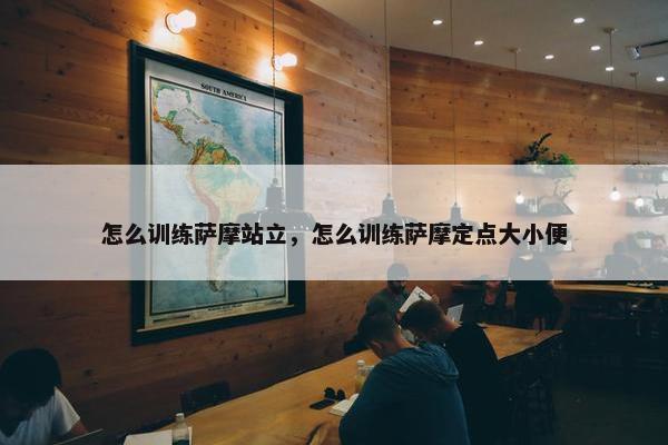 怎么训练萨摩站立，怎么训练萨摩定点大小便