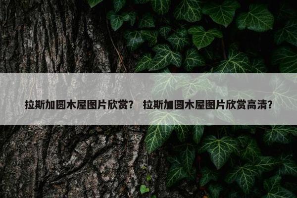 拉斯加圆木屋图片欣赏？ 拉斯加圆木屋图片欣赏高清？