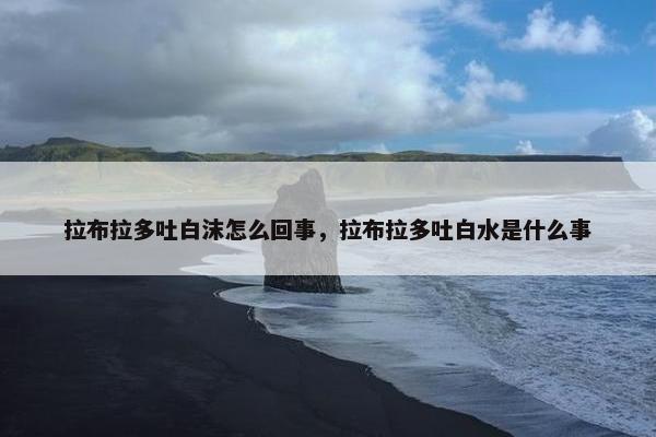 拉布拉多吐白沫怎么回事，拉布拉多吐白水是什么事