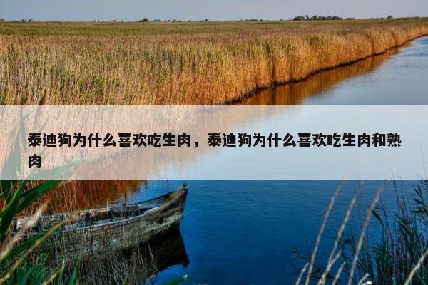 泰迪狗为什么喜欢吃生肉，泰迪狗为什么喜欢吃生肉和熟肉