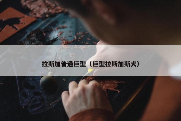 拉斯加普通巨型（巨型拉斯加斯犬）