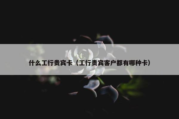 什么工行贵宾卡（工行贵宾客户都有哪种卡）