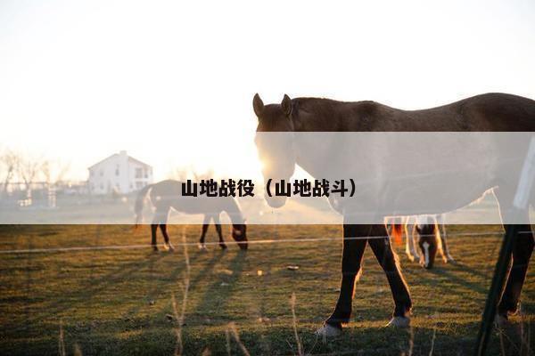 山地战役（山地战斗）