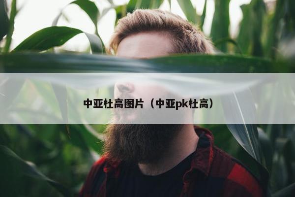 中亚杜高图片（中亚pk杜高）