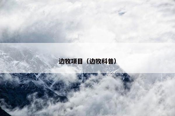 边牧项目（边牧科普）