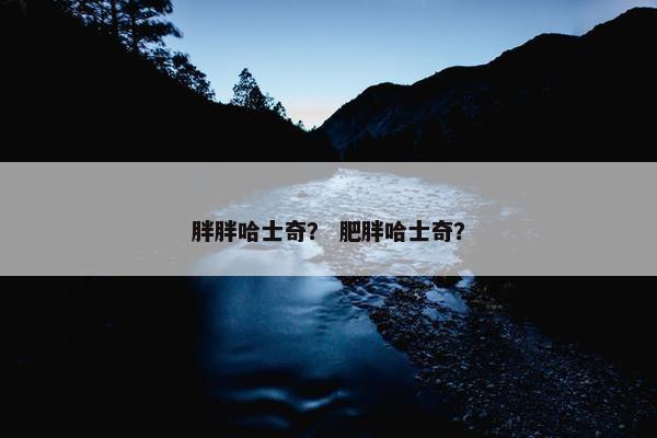 胖胖哈士奇？ 肥胖哈士奇？