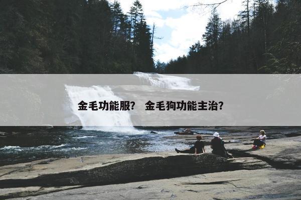 金毛功能服？ 金毛狗功能主治？