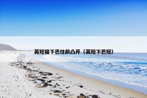 英短猫下巴往前凸开（英短下巴短）