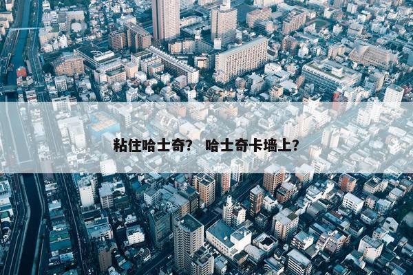 粘住哈士奇？ 哈士奇卡墙上？
