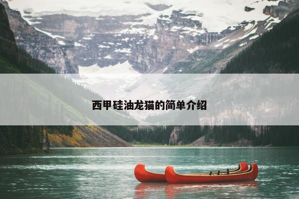 西甲硅油龙猫的简单介绍