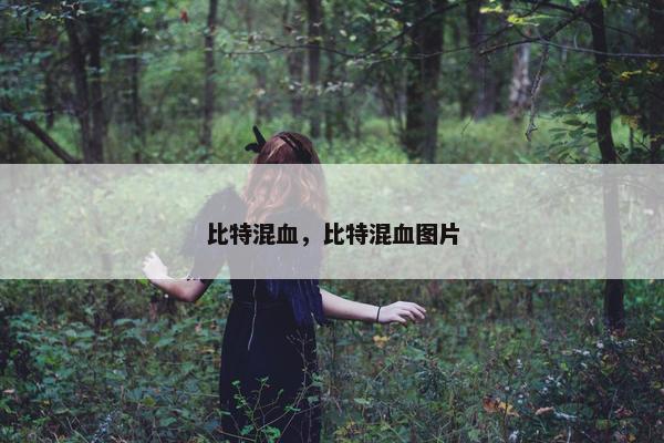 比特混血，比特混血图片