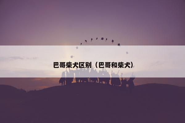 巴哥柴犬区别（巴哥和柴犬）