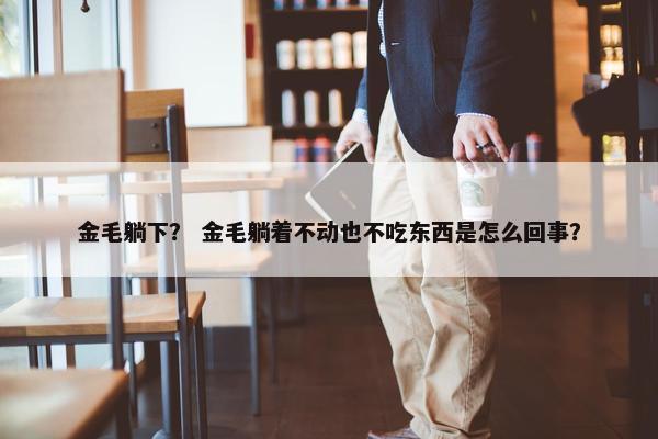 金毛躺下？ 金毛躺着不动也不吃东西是怎么回事？
