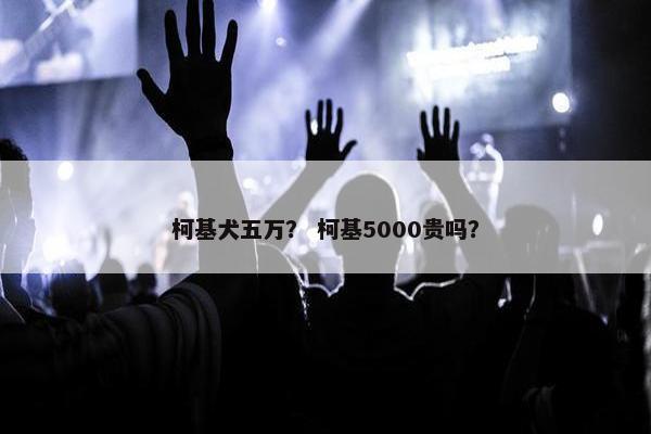 柯基犬五万？ 柯基5000贵吗？