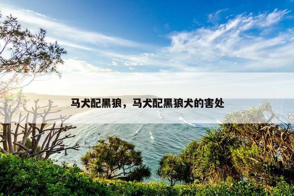 马犬配黑狼，马犬配黑狼犬的害处