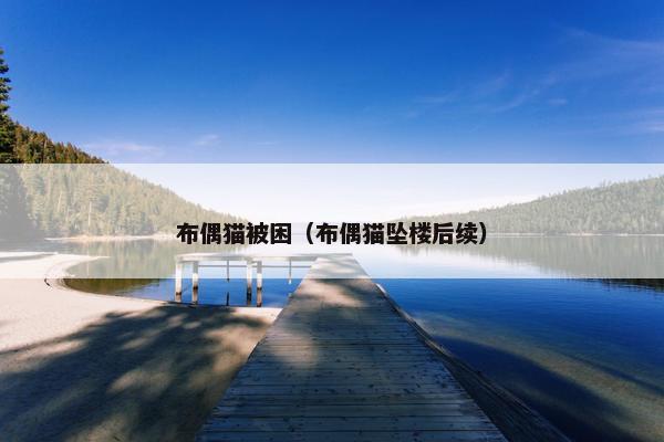 布偶猫被困（布偶猫坠楼后续）