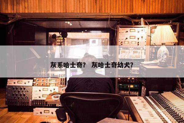 灰系哈士奇？ 灰哈士奇幼犬？