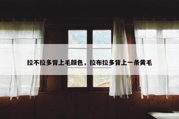 拉不拉多背上毛颜色，拉布拉多背上一条黄毛