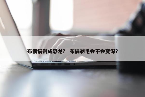 布偶猫剃成恐龙？ 布偶剃毛会不会变深？