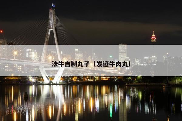 法牛自制丸子（发迹牛肉丸）