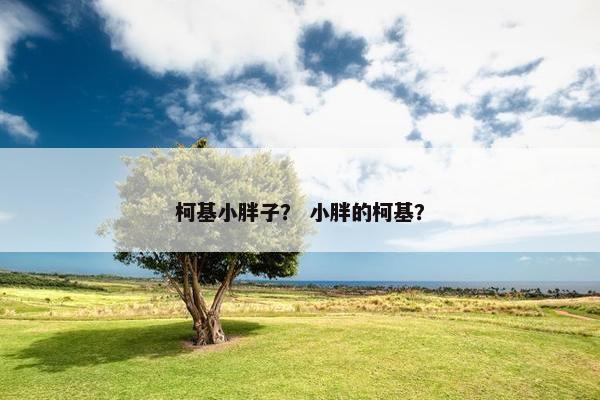 柯基小胖子？ 小胖的柯基？
