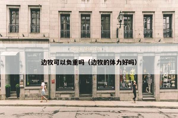边牧可以负重吗（边牧的体力好吗）