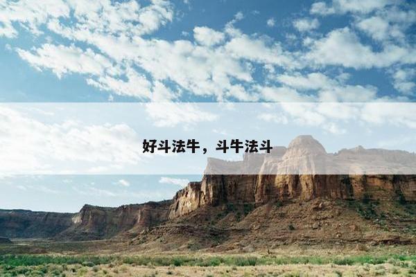 好斗法牛，斗牛法斗