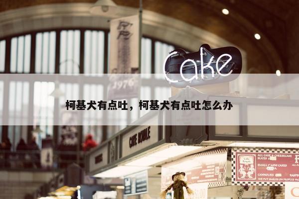 柯基犬有点吐，柯基犬有点吐怎么办