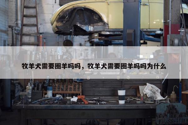 牧羊犬需要圈羊吗吗，牧羊犬需要圈羊吗吗为什么