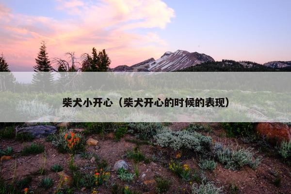 柴犬小开心（柴犬开心的时候的表现）