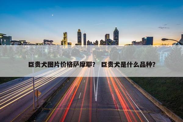 巨贵犬图片价格萨摩耶？ 巨贵犬是什么品种？