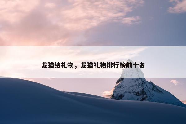 龙猫给礼物，龙猫礼物排行榜前十名