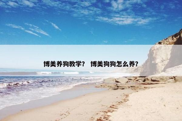 博美养狗教学？ 博美狗狗怎么养？