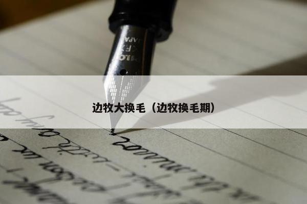 边牧大换毛（边牧换毛期）