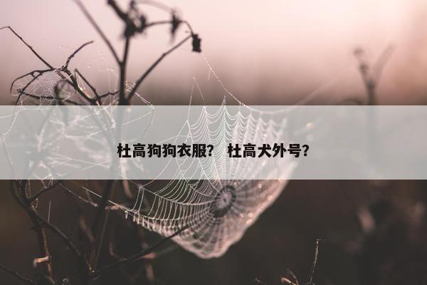 杜高狗狗衣服？ 杜高犬外号？