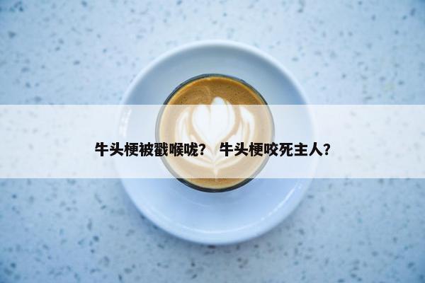 牛头梗被戳喉咙？ 牛头梗咬死主人？