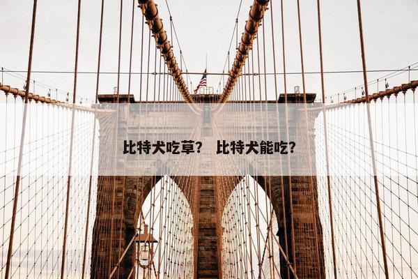 比特犬吃草？ 比特犬能吃？