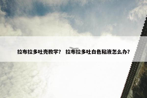 拉布拉多吐壳教学？ 拉布拉多吐白色粘液怎么办？