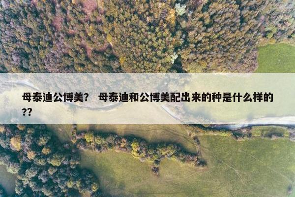 母泰迪公博美？ 母泰迪和公博美配出来的种是什么样的?？