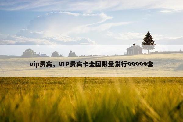 vip贵宾，VIP贵宾卡全国限量发行99999套