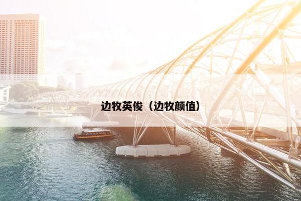 边牧英俊（边牧颜值）