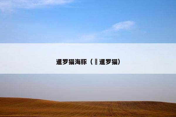 暹罗猫海豚（ 暹罗猫）