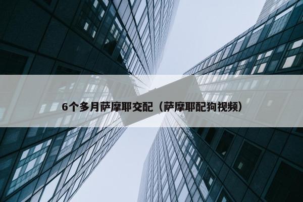 6个多月萨摩耶交配（萨摩耶配狗视频）