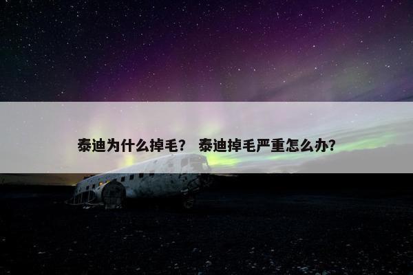 泰迪为什么掉毛？ 泰迪掉毛严重怎么办？