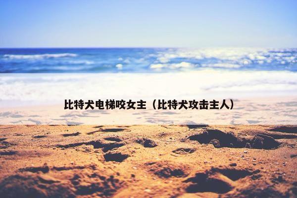 比特犬电梯咬女主（比特犬攻击主人）