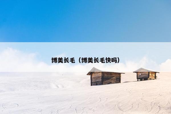 博美长毛（博美长毛快吗）